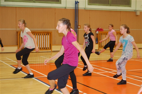 Obrázek v galerii